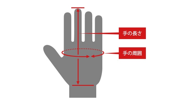 手のサイズ